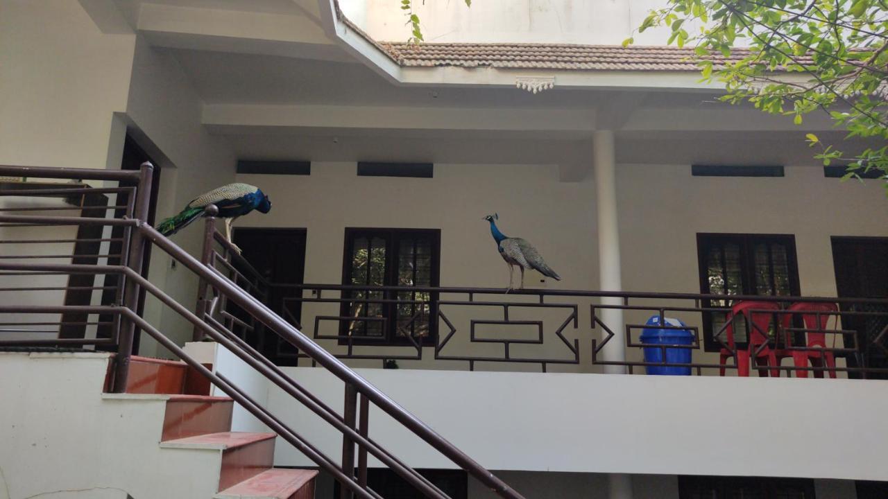 Pebblecoast Beach Resort Kovalam Eksteriør bilde